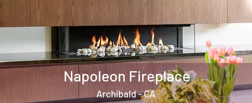 Napoleon Fireplace Archibald - CA