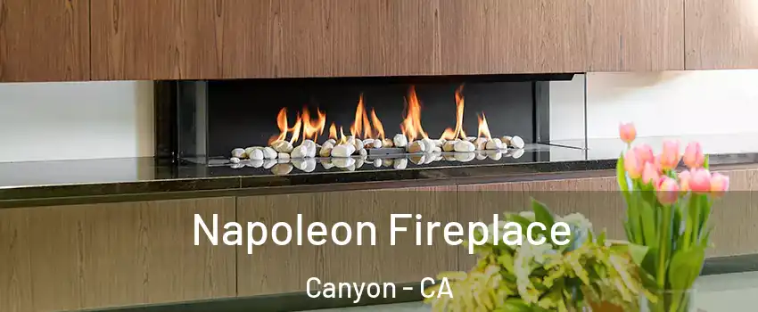 Napoleon Fireplace Canyon - CA