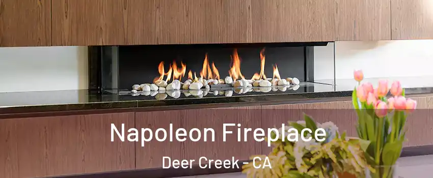 Napoleon Fireplace Deer Creek - CA