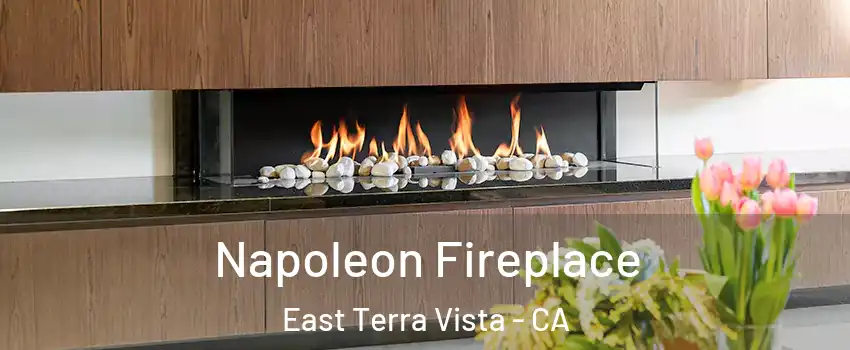 Napoleon Fireplace East Terra Vista - CA