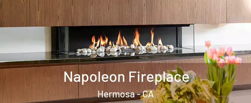 Napoleon Fireplace Hermosa - CA