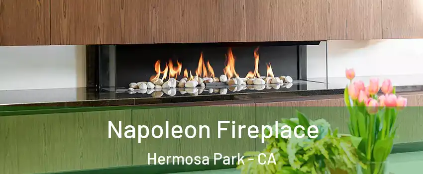 Napoleon Fireplace Hermosa Park - CA