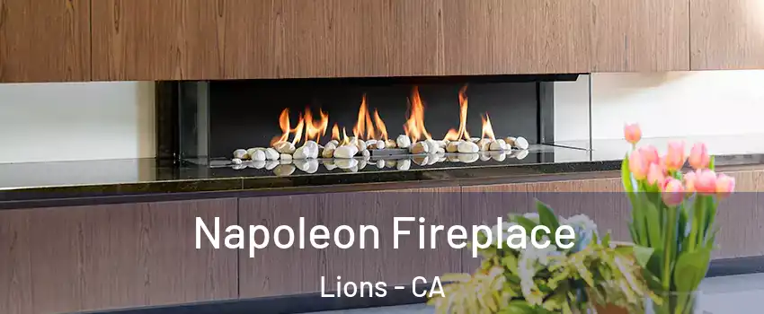 Napoleon Fireplace Lions - CA