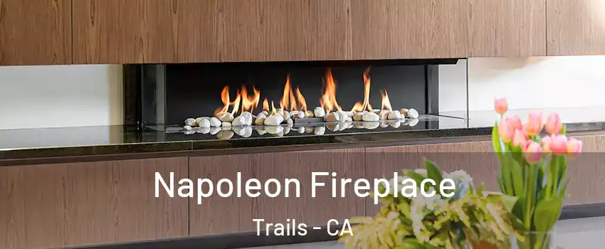 Napoleon Fireplace Trails - CA