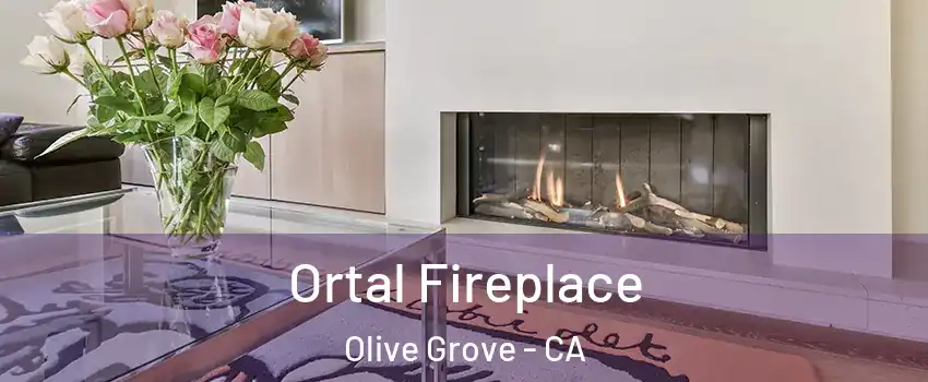 Ortal Fireplace Olive Grove - CA
