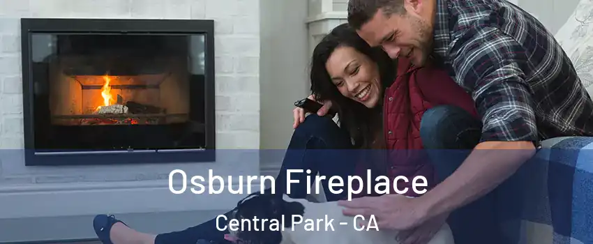 Osburn Fireplace Central Park - CA