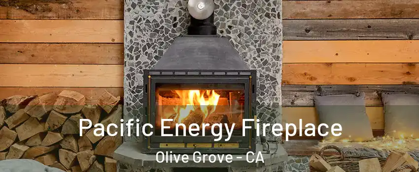 Pacific Energy Fireplace Olive Grove - CA