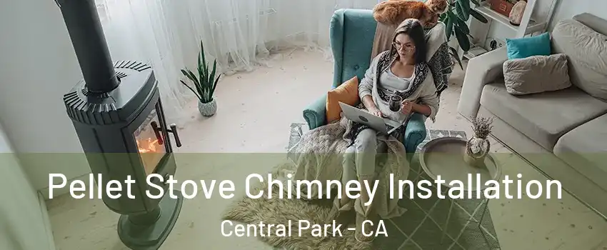 Pellet Stove Chimney Installation Central Park - CA