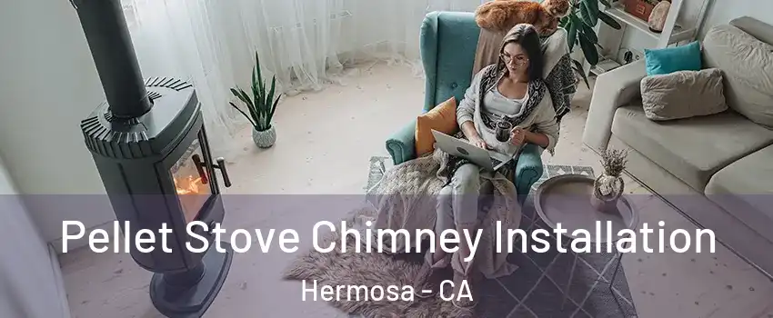 Pellet Stove Chimney Installation Hermosa - CA