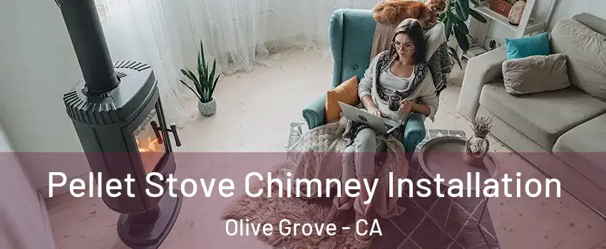 Pellet Stove Chimney Installation Olive Grove - CA