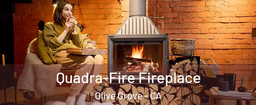 Quadra-Fire Fireplace Olive Grove - CA