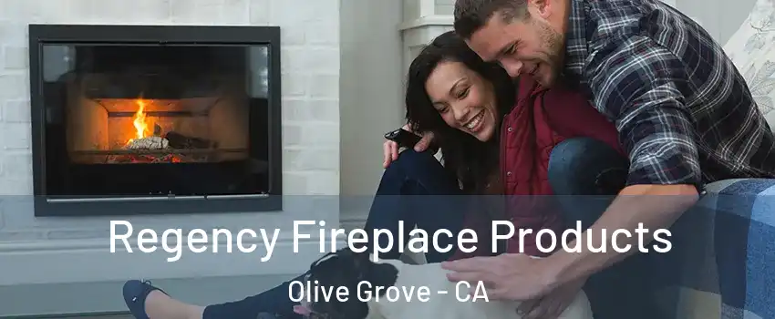 Regency Fireplace Products Olive Grove - CA