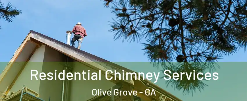 Residential Chimney Services Olive Grove - CA