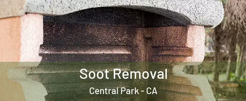 Soot Removal Central Park - CA