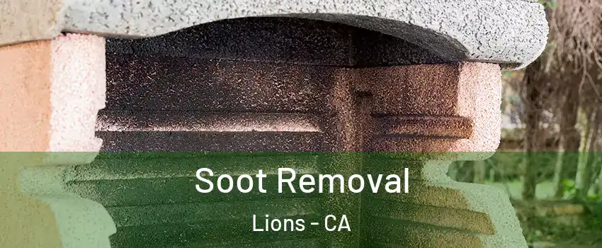 Soot Removal Lions - CA