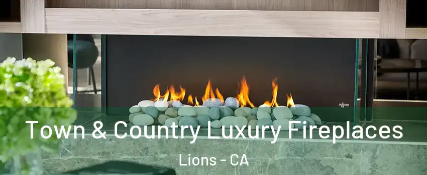 Town & Country Luxury Fireplaces Lions - CA