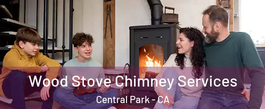 Wood Stove Chimney Services Central Park - CA
