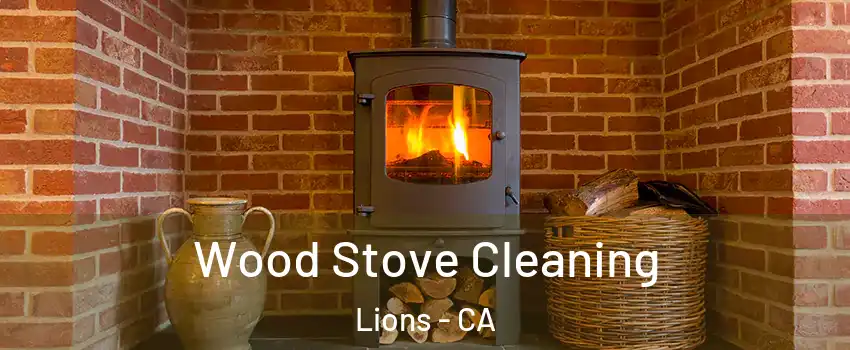 Wood Stove Cleaning Lions - CA